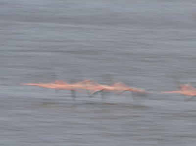 20130519_162720