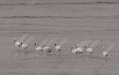 20130519_155755-bw