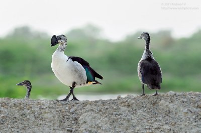 20110804_170323