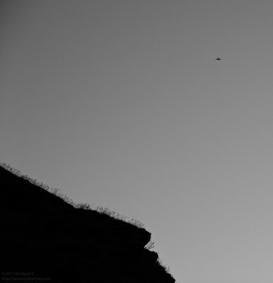 20111118_062242_01