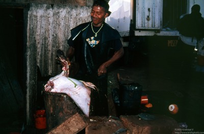 Negamboo fishing harbour. Cutting up a stingray