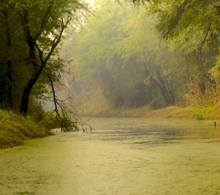 Bharatpur-waterway_