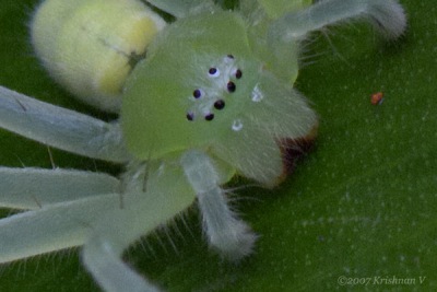 [#Beginning of Shooting Data Section]Nikon D2XFocal Length: 105mmOptimize Image: Color Mode: Mode II (Adobe RGB)Long Exposure NR: OffHigh ISO NR: On (Normal)2007�7�8 10:37:26.0Exposure Mode: Aperture PriorityWhite Balance: Color Temp. (5900 K) Tone Comp.: Less ContrastRAW (12-bit)Metering Mode: Multi-PatternAF Mode: AF-CHue Adjustment: 0Â°Image Size: Large (4288 x 2848)130 sec - F14Flash Sync Mode: Not AttachedSaturation: NormalColorExposure Comp.: -1.0 EVSharpening: Medium highLens: VR 105mm F2.8 GSensitivity: ISO 640Image Comment: (c)Krishnan V                       [#End of Shooting Data Section]