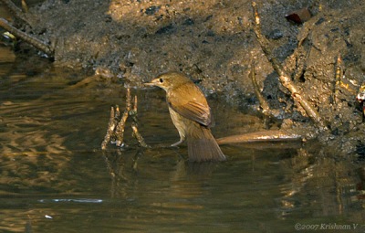 20071202_0018