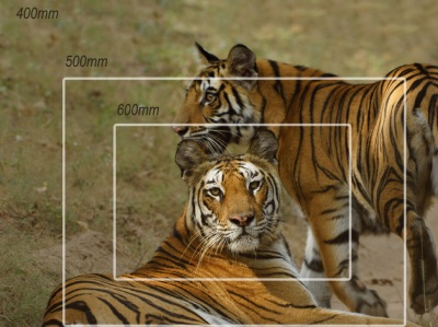 20081105_0151_nikon_telephoto_stall