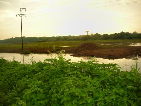 temple_pond_being_filled_with_sand