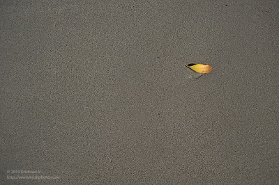20100403_090640
