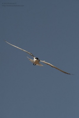 20100405_094402