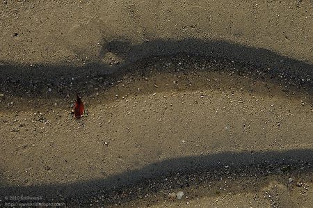 20100403_075432