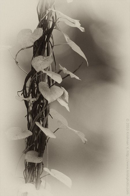 20100613_091644