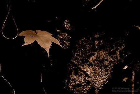 20100613_101736