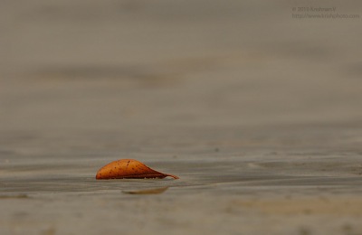 20101226_082709