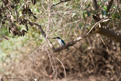 20110402_162919