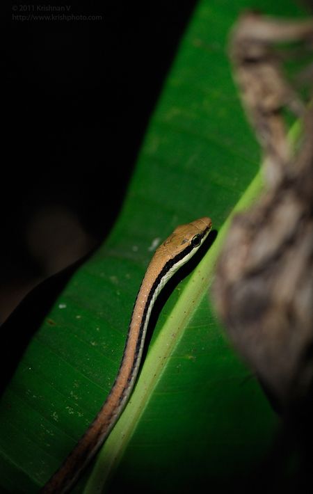 20111118_142952