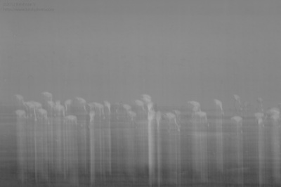 20120226_180756_bw