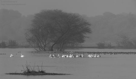 20121223_153355_bw