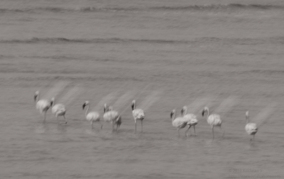 20130519_155755-bw