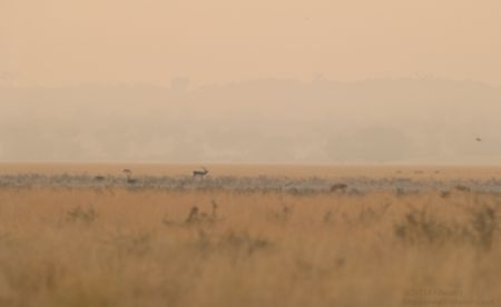 20131212_074546