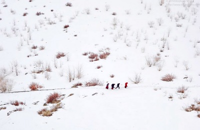 Monks walking