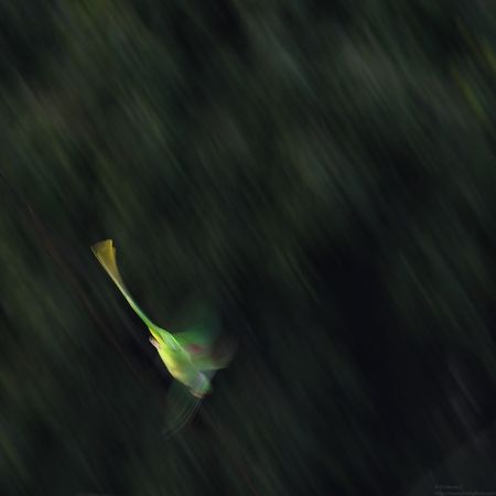 20160913_080422