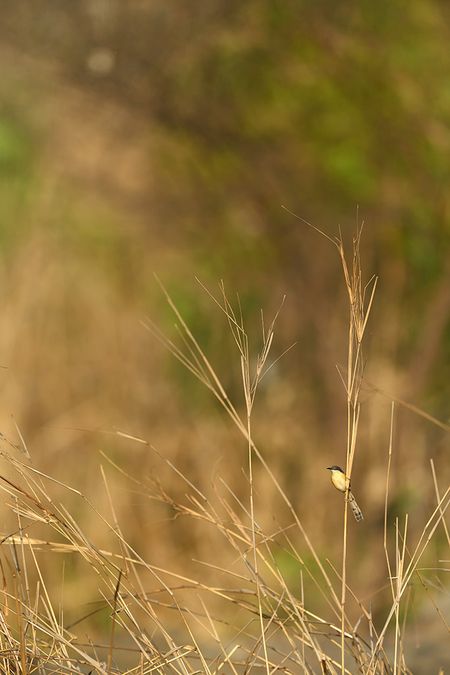 20170313_082709