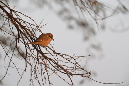 20171224_074015
