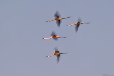 20180128_085630