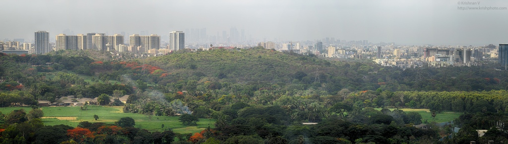 red-trees_panorama1