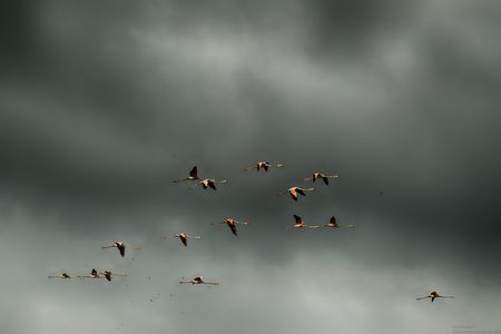 20190714_080458