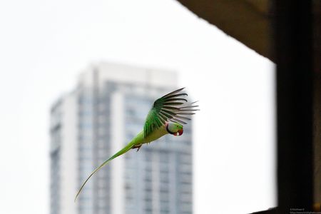 20191019_173141_01