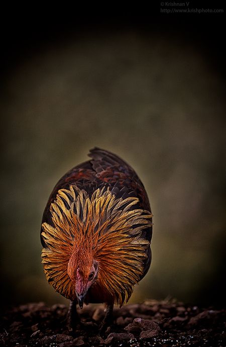 20191207_161917-2