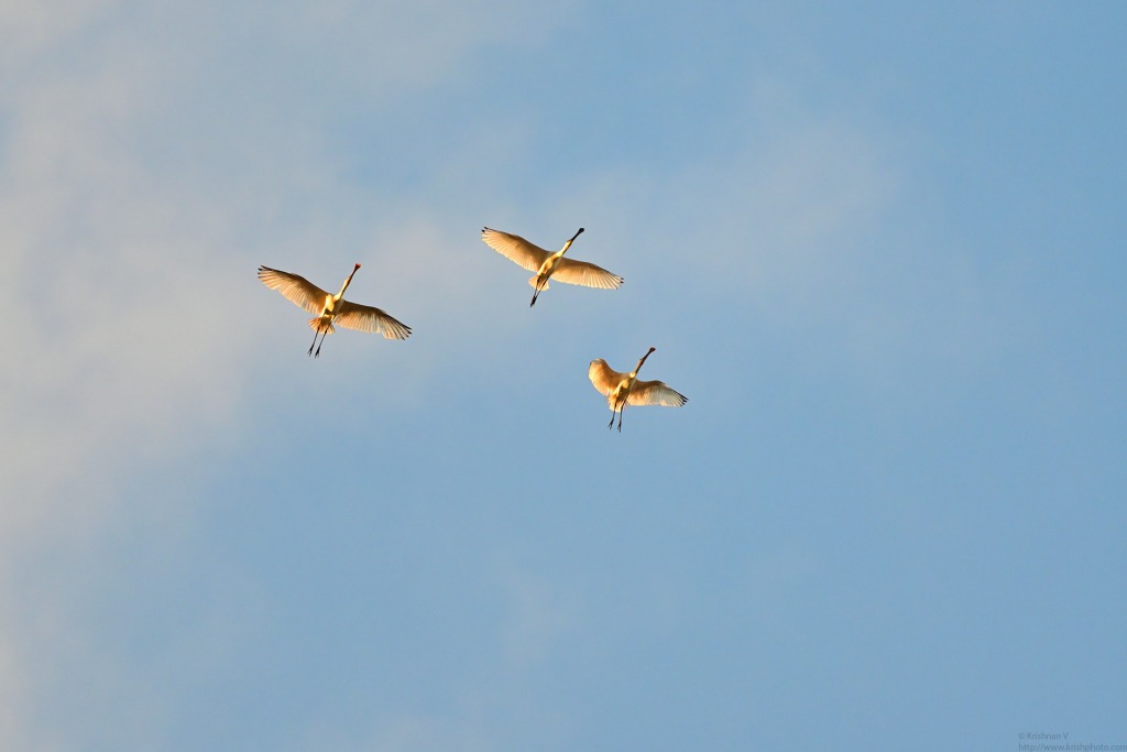 20201016_070228