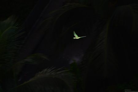 20200407_173829