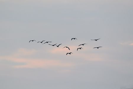 20201128_071208