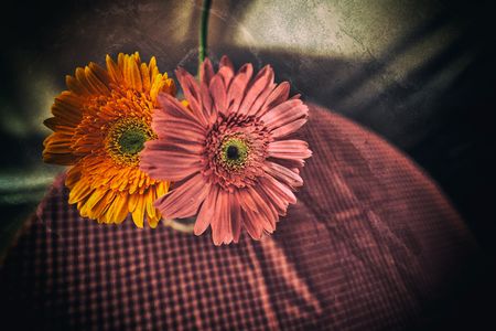 20201220_101545