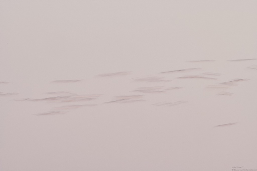 20210206_175729