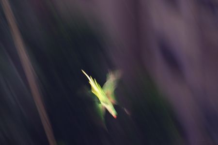 20210423_082437_02