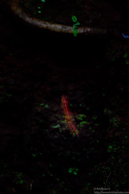 20210715_160901