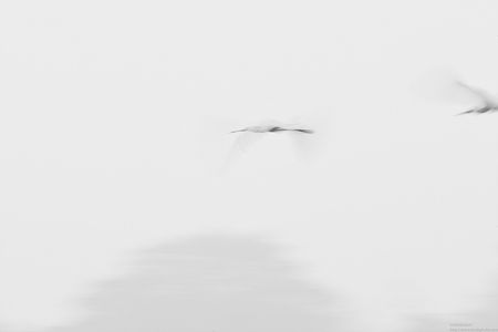20211205_094447_01