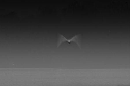 20211205_094645