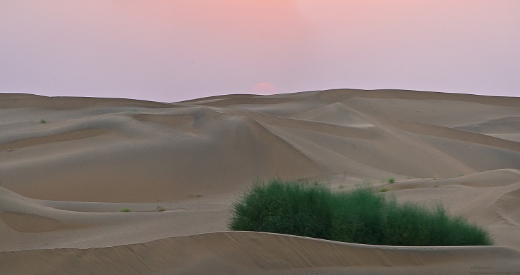 Dunes_Panorama-1
