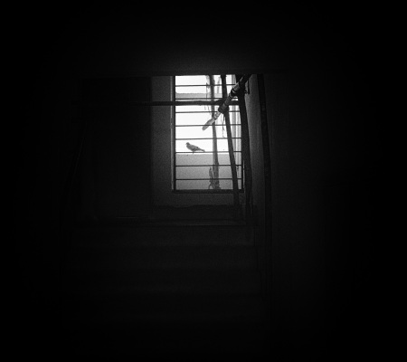 20221113_134835-BW