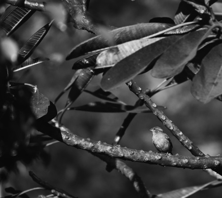 20230101_090256BW