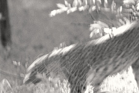 20251111_152608