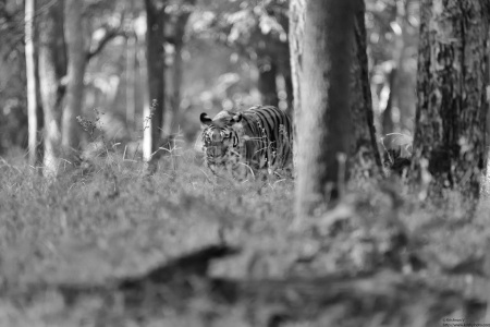 20251113_082524BW