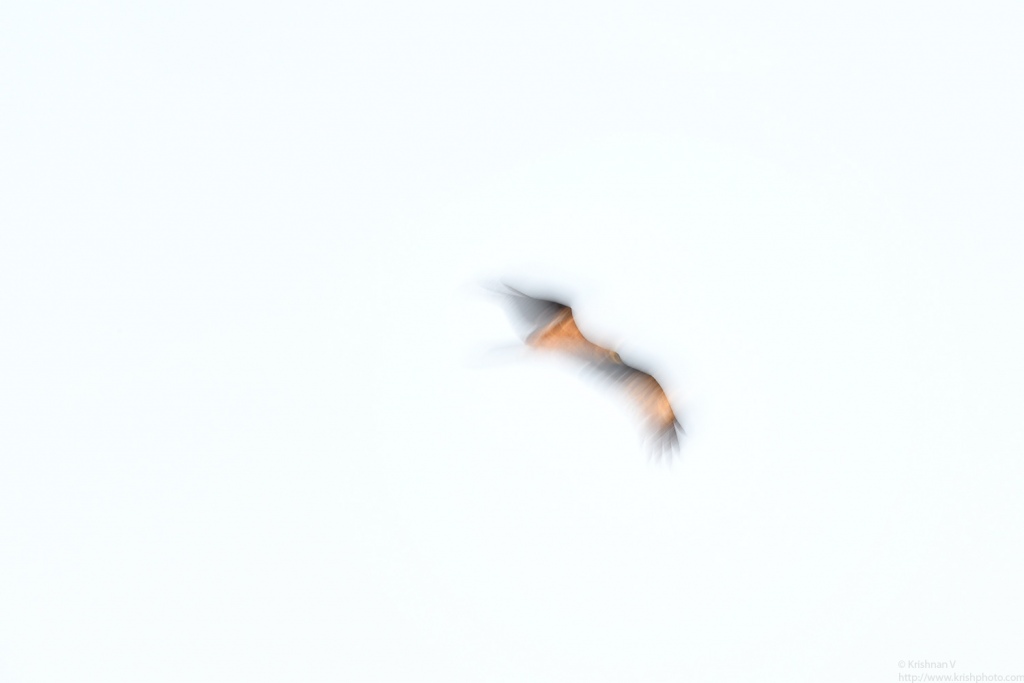 20161120_074049